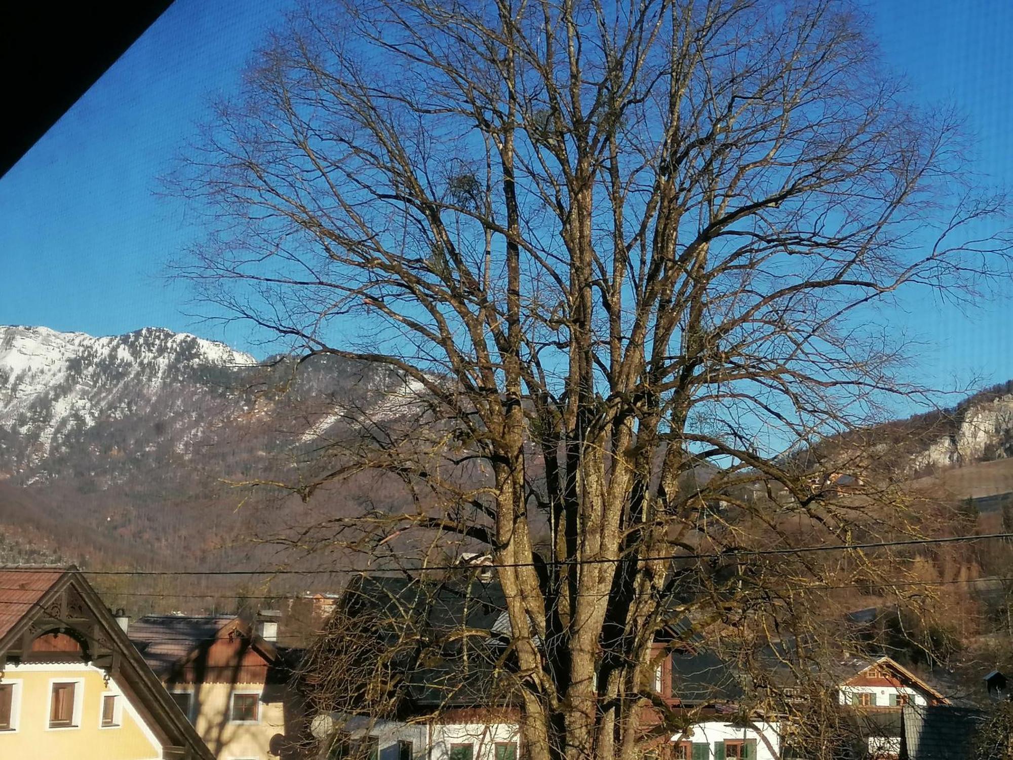 Apartamento Alpenblumal Bad Goisern Exterior foto